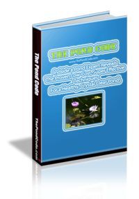 The Pond Code outdoor fish pond