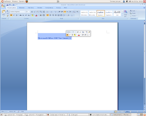 Word07 na Ubuntu