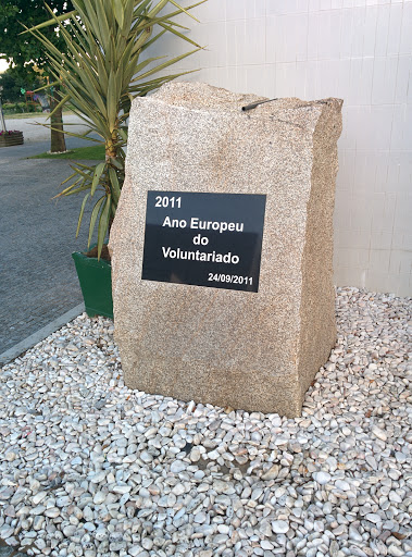 Ano Europeu do Voluntariado 