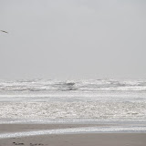 Photo album