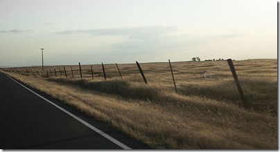 into Merced1