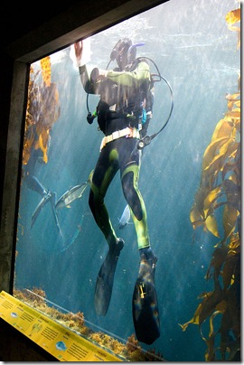 diver
