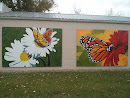 Butterfly Murals 