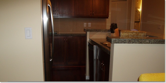 Cleveland condo 033