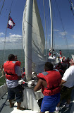 DSC_0113.JPG