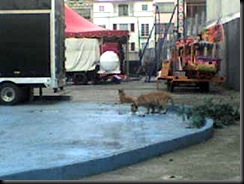 DSC00031