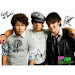 Entradas Recitales Jonas Brothers Plateas Vip