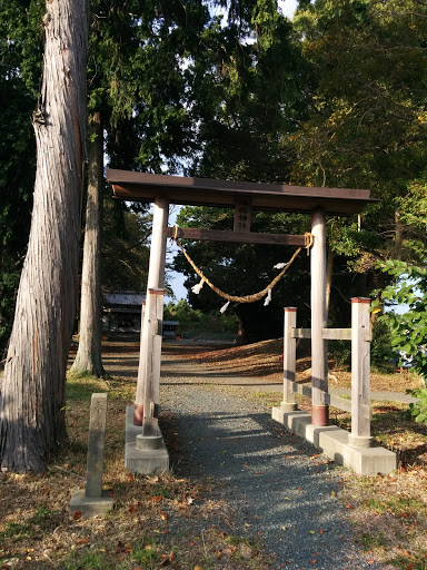 津嶋神社 鳥居