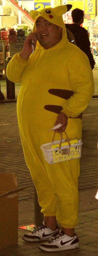 [fatpikachu-787329[12].jpg]