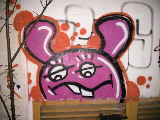The Funny Bunny