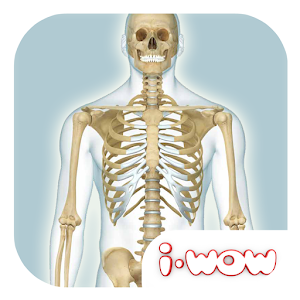 i-Wow Atlas Human Body.apk 11.1