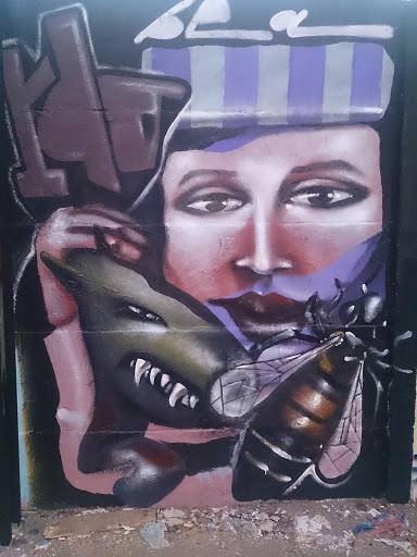 Graffiti Mujer Abeja