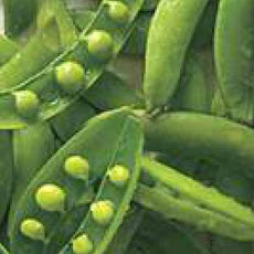 Sugar Snap Peas with Sweet Onion Vinaigrette