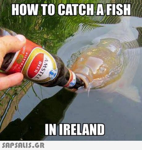 HOW TO CATCH A FISH INIRELAND 