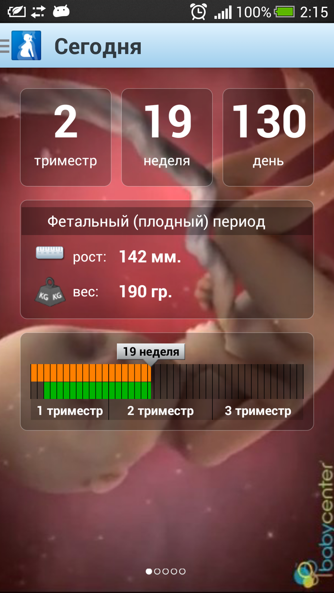 Android application Я беременна screenshort