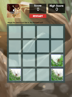 How to download Colony Clash : Merge Spiders 1.0 unlimited apk for pc