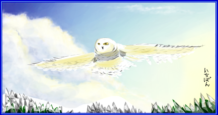 Snow Owl