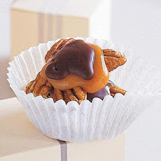 Chocolate-Covered Turtles