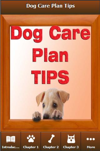 How to Care of Your Dogs