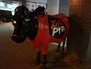 Red Black Cow