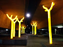 Glowing Trees