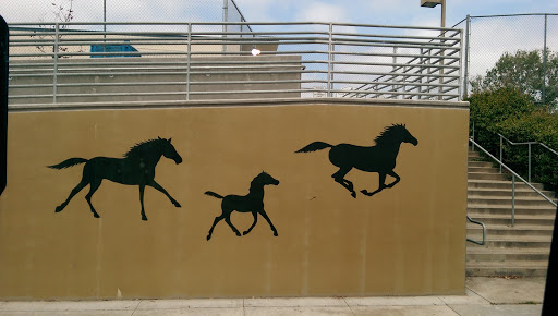 Galloping Horses Mural