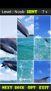 How to mod Dolphin Sliding Puzzle 0.2 mod apk for laptop