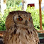 Eurasian Eagle Owl