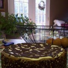 Chocolate Lace Cheesecake