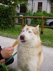 04052008_3.JPG