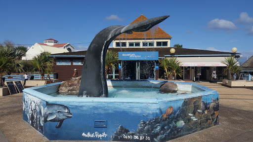 Aquarium De La Réunion 