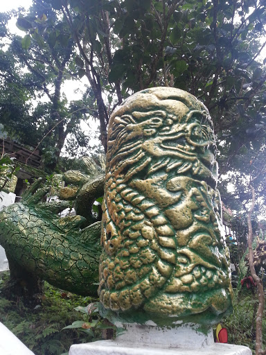 Green Golden Dragon Totem