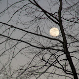 W.P. Wes Smith - WNC Mountain Photography