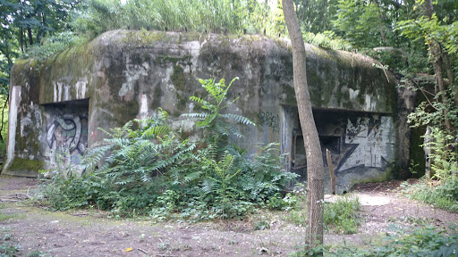 Bunker V Dzungli