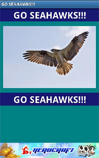 Go Seahawks