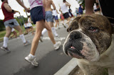 2003_Boilermaker_53.jpg