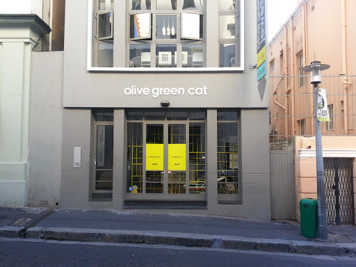 Olive Green Cat
