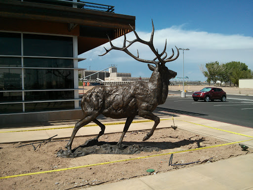 Bronze Elk Statue