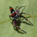 Elegant Golden Jumper