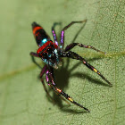 Elegant Golden Jumper