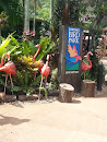 Sungit Bird Park