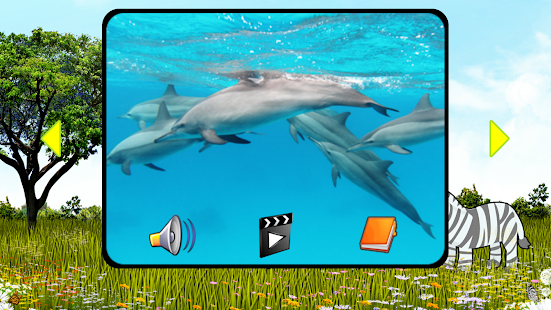 How to download 동물의 세계-동물소리, 동물 동영상 1.0.0 apk for laptop