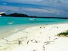 Los Roques Full Day En Catamaran
