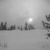 Kicking Horse