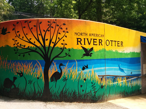 North American River Otter Mural 
