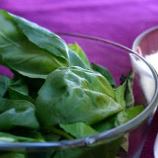 Pesto Recipe with Blanched Basil
