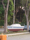 Changi Sailing Club Yacht Display