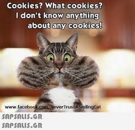 Cookies? What cookies? I don t know anything about any cookies! www.faceboocaeverTrustaSmilingCat  
