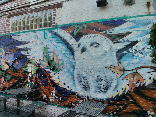 White Owl Mural