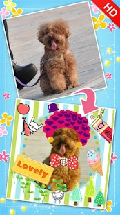 How to mod My Photo Sticker HD 1.7.3 apk for bluestacks